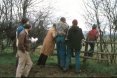 Old skool sabbing